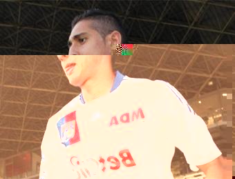 Bouteflika «constitutionnalise» ses réformes Le Conseil constitutionnel donnera son « avis » sur les lois