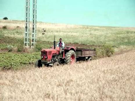 Concessions agricoles : 326 contrats de performance remis aux agriculteurs                                    Oran : les autres articles