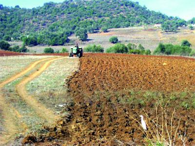 442 mises en demeure envoyées aux «exploitants agricoles» à Tizi Ouzou La loi sur la concession agricole peine à être appliquée