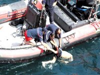 Vers la création de 3 écoles de formation en techniques de télécommunications maritimes