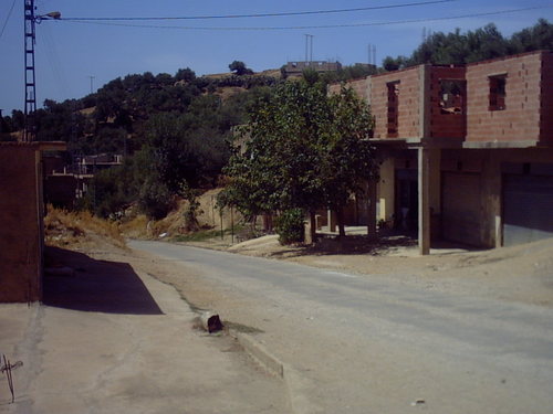 Le jeune agriculteur « H.M » libéré à Boghni