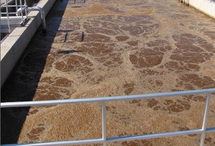 Utilisation des eaux usées pour l'irrigation des terres agricoles à Es-Sénia