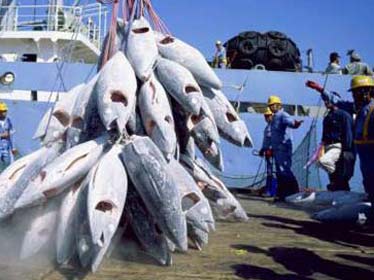 Algérie-Mauritanie ' Un 