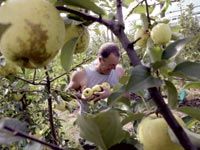 R'haout (BATNA)                                    La terre, seule source de vie