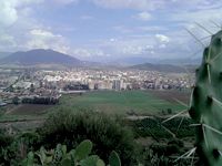 Exploitation agricole collective (EAC) de Draâ Ben Khedda (Tizi Ouzou)                                    Les agriculteurs tirent la sonnette d'alarme