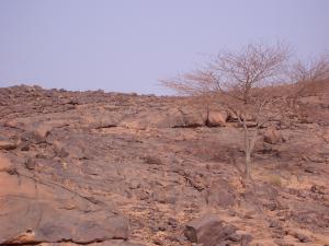 Hymne, pour mon pays.....l'Algérie