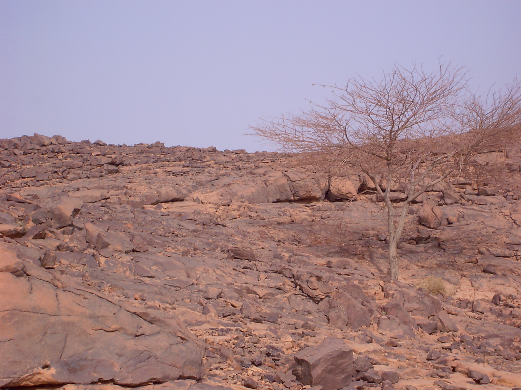 Hymne, pour mon pays.....l'Algérie