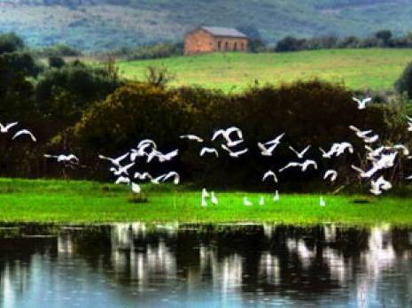 Zone humide Guerbès-Sanhaja : L'année de toutes les espérances '                                    Skikda : les autres articles