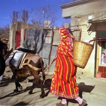 Une région et 36.000 misères                                    LA KABYLIE, DE PLUS EN PLUS EXSANGUE