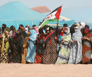 Sahara occidental / Témoignages sur la torture                                    «Ils ont tenté de m'arracher le 2e 'il»