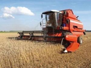 Blé stocké dans des cuves à vin à Bourkika (Tipasa) : Le silence complice des responsables                                    Tipaza : les autres articles