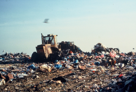 L'Alsace concentre sa stratégie export sur l'Algérie                                    Construction métallique, matériel ferroviaire, déchets solides'