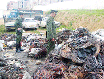 Un réseau démantelé à Tizi-Ouzou !                                    Vol de câbles électriques