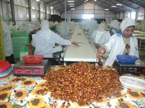 L'exportation hors hydrocarbures en débat                                    Blida : les autres articles