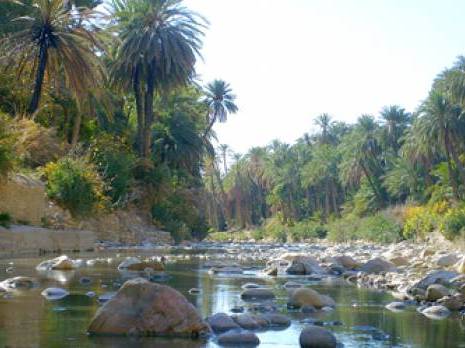 Biskra miroir du désert de Mohamed Balhi : Un air de dolce vita                                    Culture : les autres articles