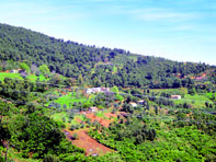 1,3 milliard de dinars pour son développement                                    SKIKDA, Agriculture de montagne