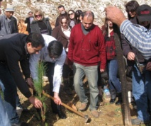 CONSERVATION DES FORETS : 200 hectares à reboiser d'ici février 2013