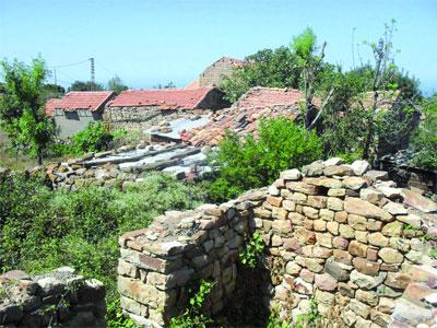 Le tourisme culturel attendra encore avant de devenir une réalité                                    Malgré les potentialités que recèlent la wilaya de Tizi Ouzou