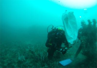 «L'Algérien n'est pas sensible à l'environnement»