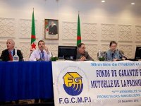 Les promoteurs immobiliers vont créer une société de réalisation en partenariat avec des étrangers