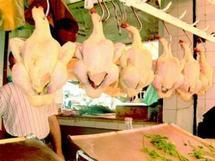 Le prix du poulet a atteint les 400DA/Kg à Tissemsilt