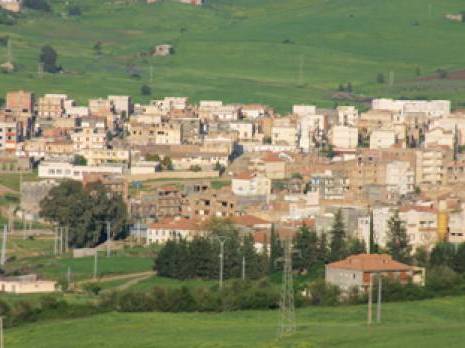 Foncier agricole : Les terres arables sacrifiées pour une hypothétique paix sociale                                    Economie : les autres articles