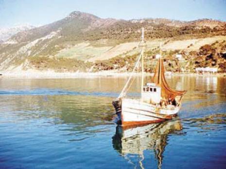 Les pêcheurs à l'arrêt en signe de deuil                                    Après la mort de huit marins à Ténès