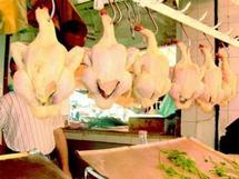 Le prix du poulet a atteint les 400DA/Kg à Tissemsilt