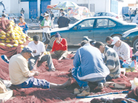 5 tonnes de poisson y transitent par jour                                    Voyage au c'ur de la pêcherie d'Alger