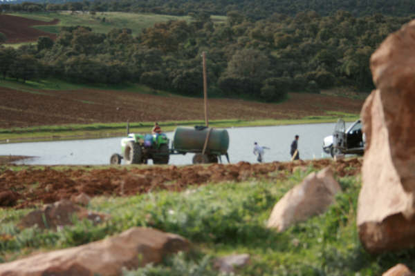 le vole en plein jour