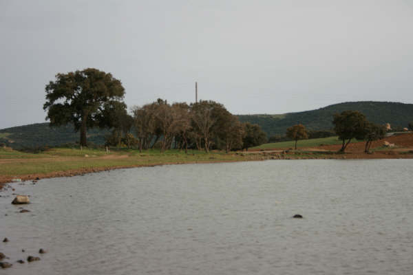 reserve d'eau a theniet el had en danger