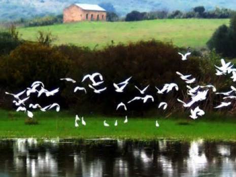 La gendarmerie à la rescousse                                    Accaparement de terres dans la zone humide de guerbès