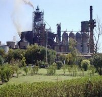 Le groupe ArcelorMittal accepte toutes les garanties nécessaires pour l'obtention d'un crédit de 14 mds de DA (BEA)