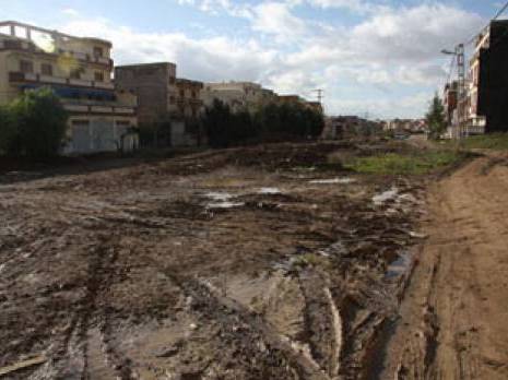 Les habitants tiennent à leur boulevard                                    Lotissement 242 à Aïn El Bey