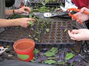 Six nouvelles spécialités pour la rentrée                                    TISSEMSILT, secteur de la Formation et de l'enseignemen professionnels