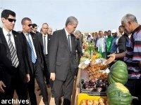 M. Sellal inspecte le projet de création d'exploitations agricoles et pastorales à Saida