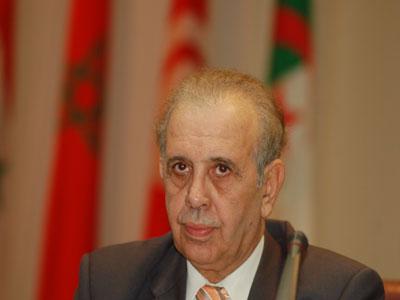 «Des textes frileux, pas courageux»                                    Me Ksentini à propos des lois sur l'information et les associations