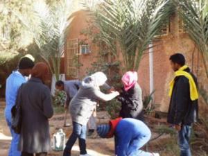 Tindouf : Les parents d'élèves mettent «la main à la terre»                                    Actu Ouest : les autres articles