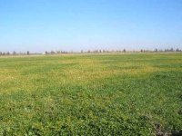 Foncier agricole : le délai de dépôt des dossiers de concession pourrait être prorogé de 4 mois