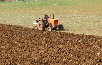 Les bourgeons d'une politique agricole                                    LES WILAYAS FACE À LEURS CONTRATS DE PERFORMANCE