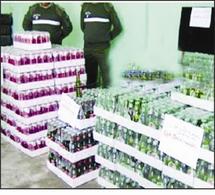 Saisie de 343 bouteilles de boissons alcoolisées à Ain-Témouchent