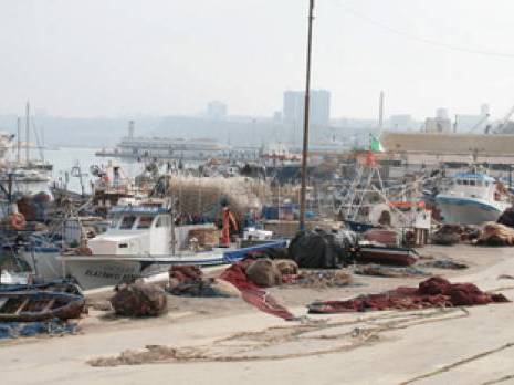 Pêcherie : 5 millions de DA de créances auprès des armateurs et mandataires                                    Oran : les autres articles