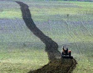 Tissemsilt : le métier de fellah en voie de disparition                                    Actualité : les autres articles