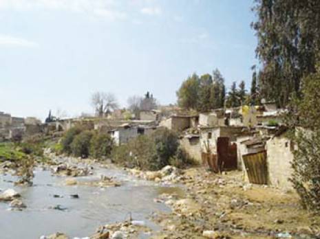 Tentative de suicide collectif                                    Résorption de l'habitat précaire à Tiaret