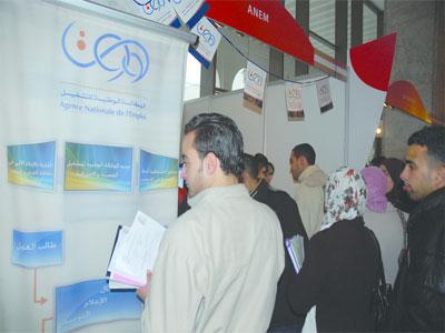 La demande d'emploi reste importante à Béjaïa                                    Malgré les divers dispositifs d'insertion professionnelle