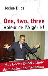 Algérie . Les bonnes affaires de la famille Rahmani