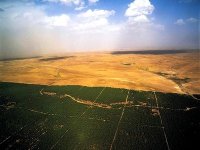 Barrage vert : des projets de proximité pour sauver la ceinture verte dans la wilaya de Djelfa