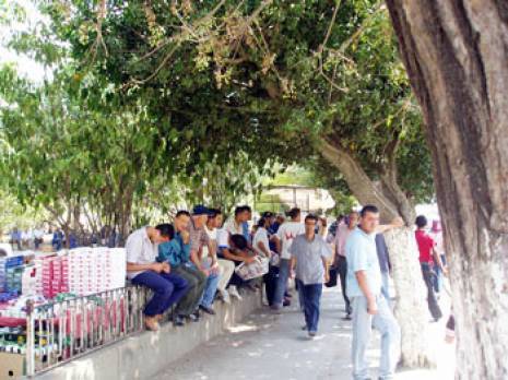 L'ANSEJ satisfaite de son bilan                                    Wilaya de Boumerdès