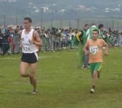 Athlétisme : Les sétifiens se distinguent au challenge national 'Cherdioui Saïd'