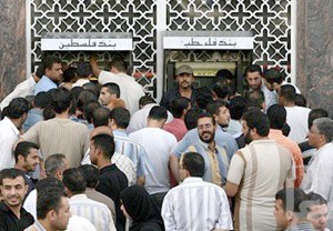 L'opération de plantation perturbée                                    M'SILA, Hausse du prix des plants d'oliviers